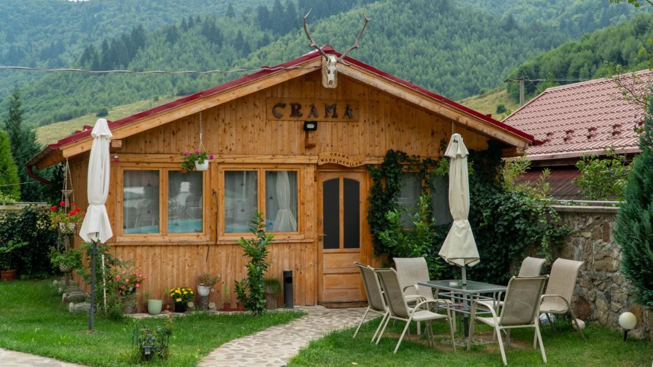 Pensiunea Alpin Paltinis Exterior photo