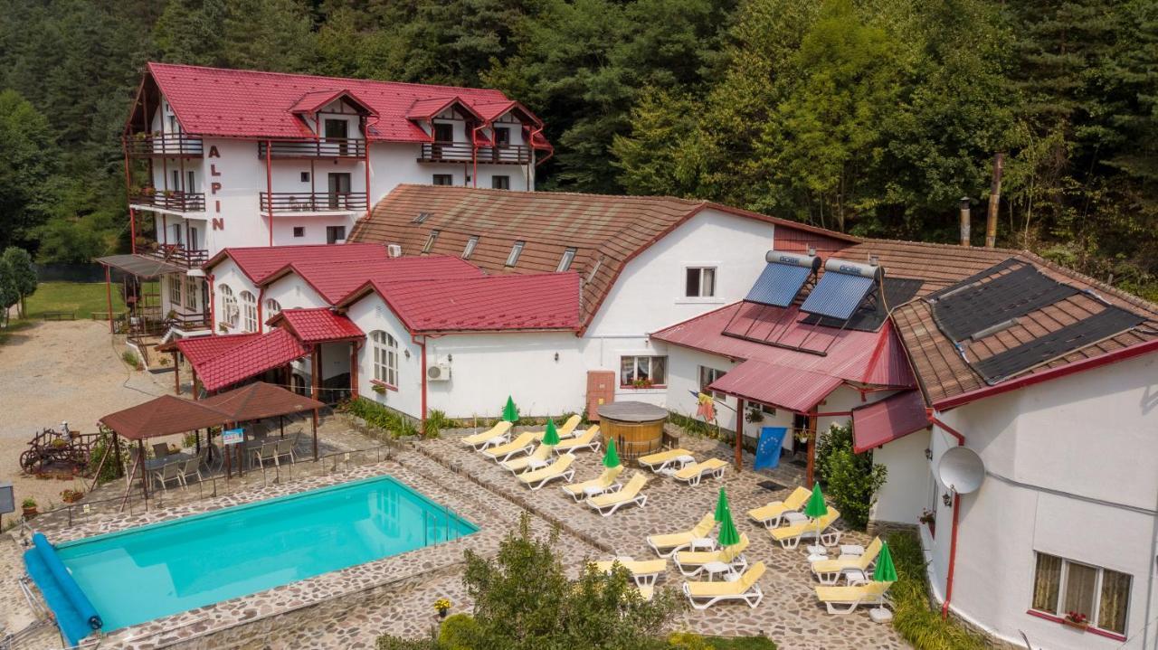 Pensiunea Alpin Paltinis Exterior photo