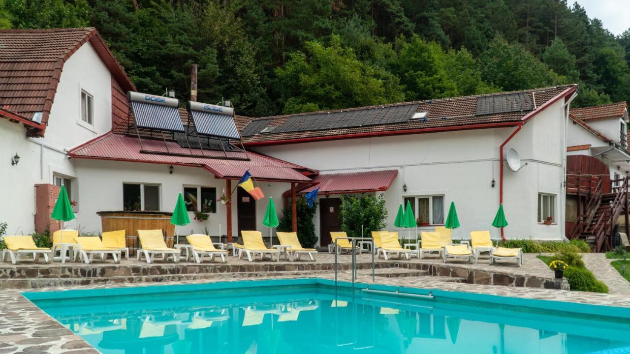 Pensiunea Alpin Paltinis Exterior photo
