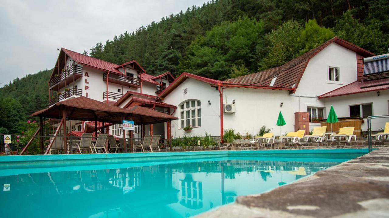 Pensiunea Alpin Paltinis Exterior photo