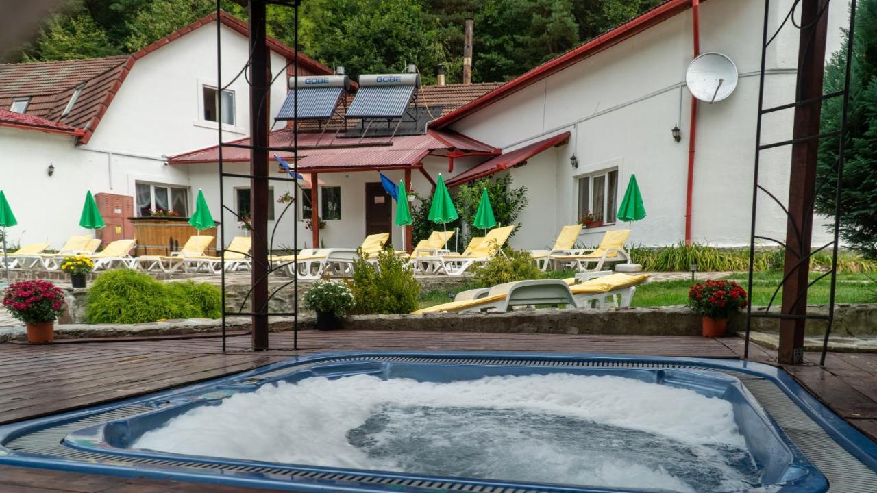 Pensiunea Alpin Paltinis Exterior photo