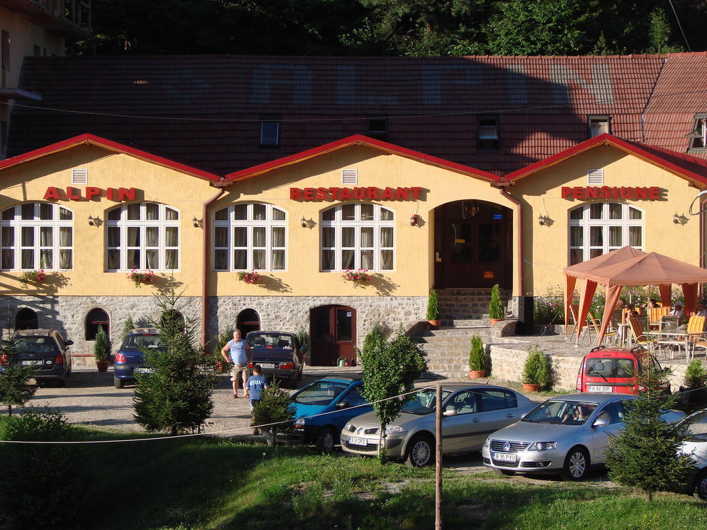 Pensiunea Alpin Paltinis Exterior photo