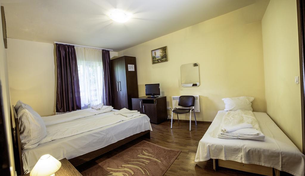 Pensiunea Alpin Paltinis Exterior photo